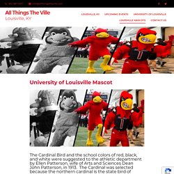 University of Louisville Mascot is the Cardinals