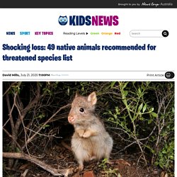 University of Queensland study recommends 49 Australian animal species be put on threatened list after bushfires