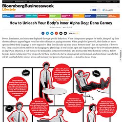 How to Unleash Your Body's Inner Alpha Dog: Dana Carney