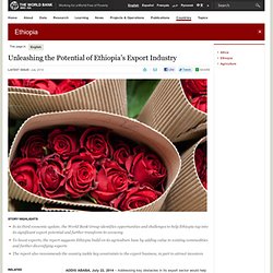 Unleashing the Potential of Ethiopia’s Export Industry