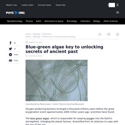Blue-green algae key to unlocking secrets of ancient past