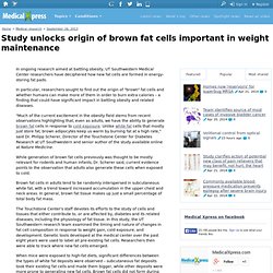 Study unlocks origin of brown fat cells important in weight maintenance