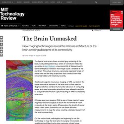 The Brain Unmasked