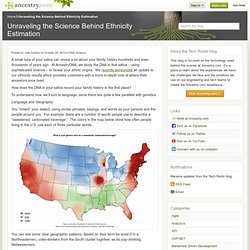 Unraveling the Science Behind Ethnicity Estimation
