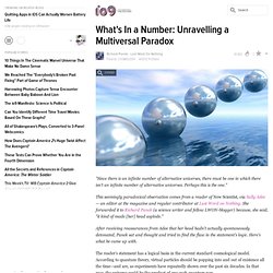 What's In a Number: Unravelling a Multiversal Paradox