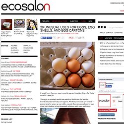 20 Unusual Uses for Eggs, Egg Shells, and Egg Cartons