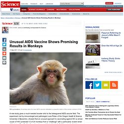 Unusual AIDS Vaccine Shows Promising Results in Monkeys