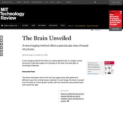 The Brain Unveiled