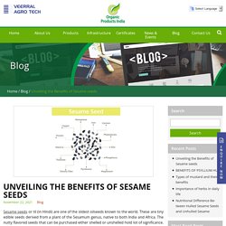 Unveiling the Benefits of Sesame seeds