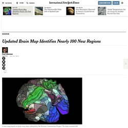 Updated Brain Map Identifies Nearly 100 New Regions