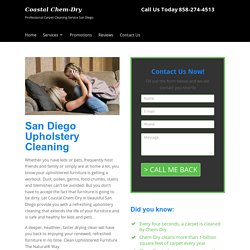 Professional Upholstery Cleaning San Diego