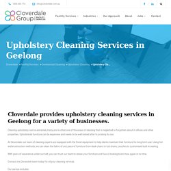 Professional Upholstery Cleaning Geelong