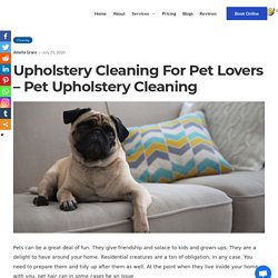 Upholstery Cleaning For Pet Lovers – Pet Upholstery Cleaning