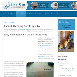 Expert Carpet and Upholstery Cleaning San Diego Guaranteed. Safe-No Residue