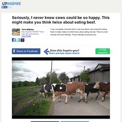 Seriously, I never knew cows could be so happy. This might make you think twice about eating beef.