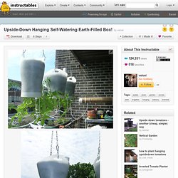 Upside-Down Hanging Self-Watering Earth-Filled Box!