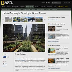 Urban Farming Is Growing a Green Future