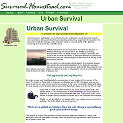 Survival Homestead
