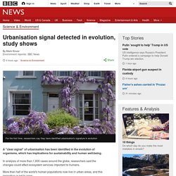 ***Urbanisation signal detected in evolution, study shows