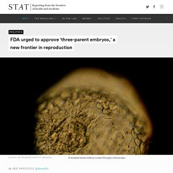 FDA urged to approve 'three-parent embryos'