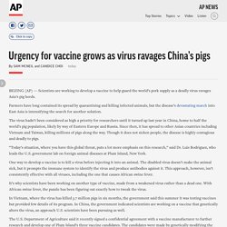 Urgency for vaccine grows as virus ravages China's pigs