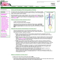 composition urine excretory system pearltrees urinalysis