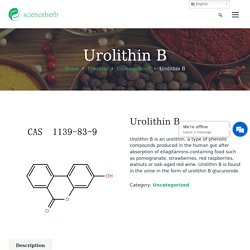 Urolithin B （1139-83-9）Manufacturer supplier factory