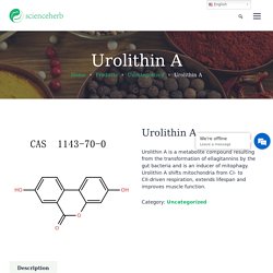 Urolithin A (1143-70-0) Manufacturer supplier factory