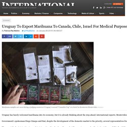 Uruguay To Export Marihuana To Canada, Chile, Israel For Medical Purposes