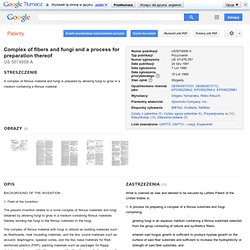 Patent US5074959 - Complex of fibers and fungi and a process for preparation thereof - Google Patents