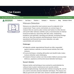Malware Detection Company in USA