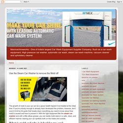 Use the Steam Car Washer to remove the Mold off