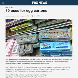 10 Uses For Egg Cartons