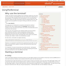 UsingTheTerminal