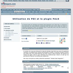 Utilisation de PDI et le plugin PALO