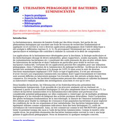 Utilisation pédagogique de bactéries luminescentes
