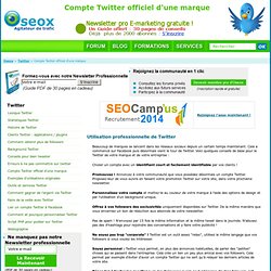 Compte Twitter Officiel D'une Marque : Conseils Utilisation Professionnelle De Twitter