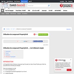 UTILISATION DU COMPOSANT PROPERTYGRID, Tutoriel N°490,