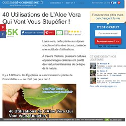 40 Utilisations de L'Aloe Vera Qui Vont Vous Stupéfier !