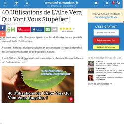 40 Utilisations de L'Aloe Vera Qui Vont Vous Stupéfier !