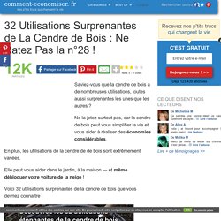 32 Utilisations Surprenantes de La Cendre de Bois : Ne Ratez Pas la n°28 !