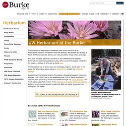 UW Herbarium at the Burke - Burke Museum
