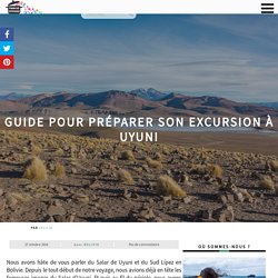 Uyuni : Préparer Votre Tour Dans le Sud Lipez en Bolivie Avec Ce Guide