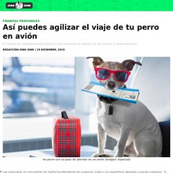 Vacaciones: Así puedes agilizar el viaje de tu perro en avión