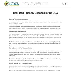 Best Dog-Friendly Beaches in the USA