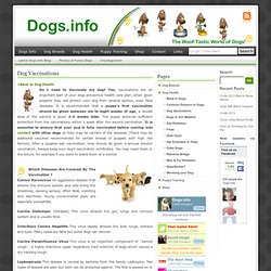 Dogs Information