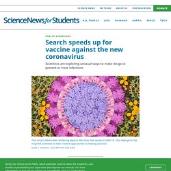 Search speeds up for vaccine against the new coronavirus