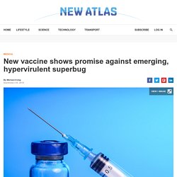 Vaccine shows promise against hypervirulent superbug