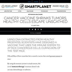 Cancer vaccine shrinks tumors, healthy cells escape unscathed