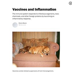 Vaccines and Inflammation: Consequences in Pets and Humans